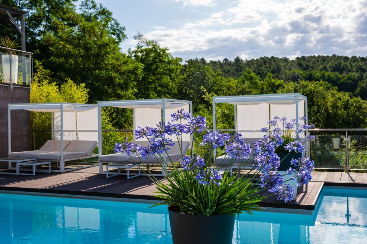 Domaine de Chalvêches Hôtel SPA 4* Faugeres  Exterior foto