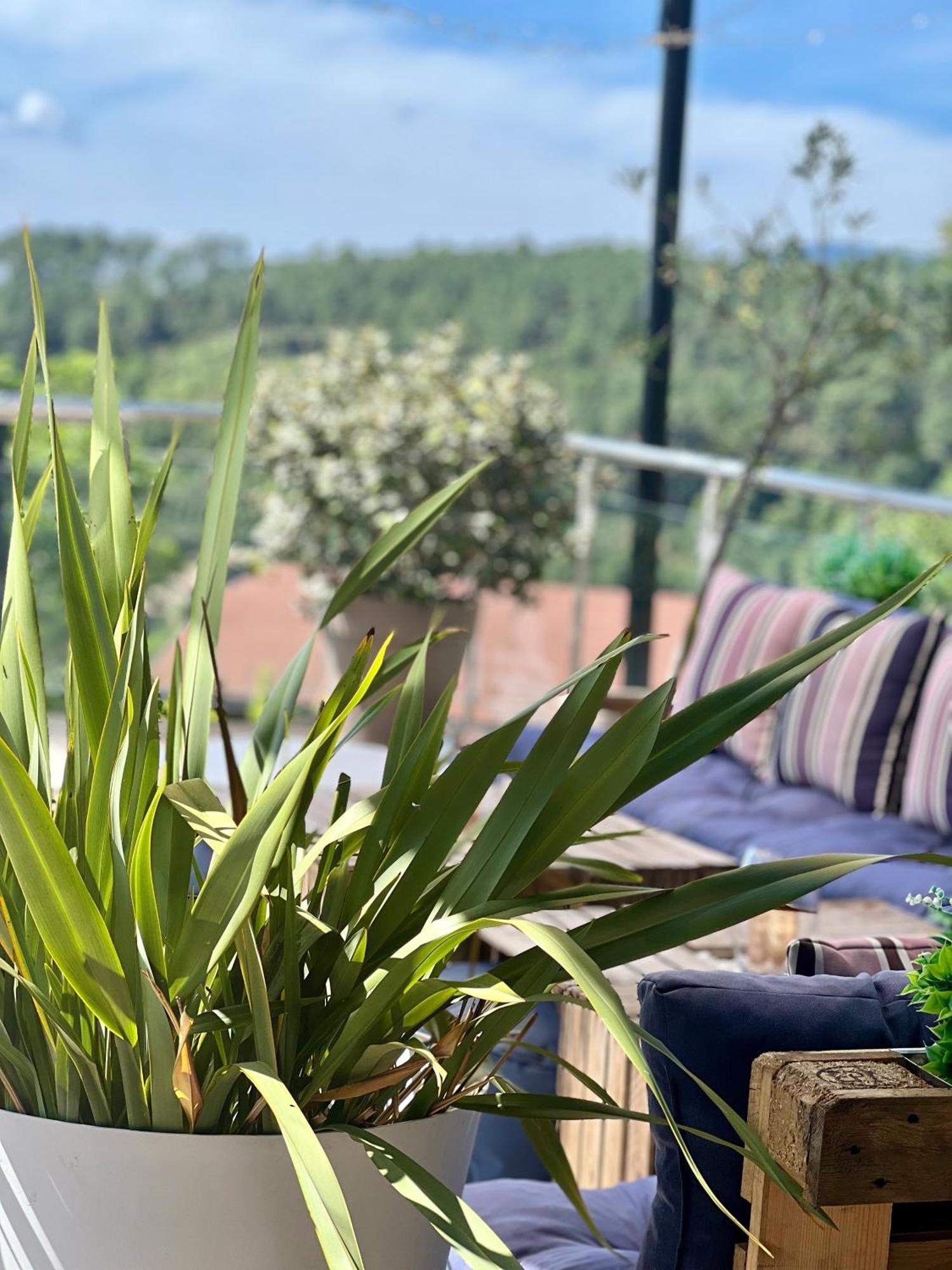 Domaine de Chalvêches Hôtel SPA 4* Faugeres  Exterior foto